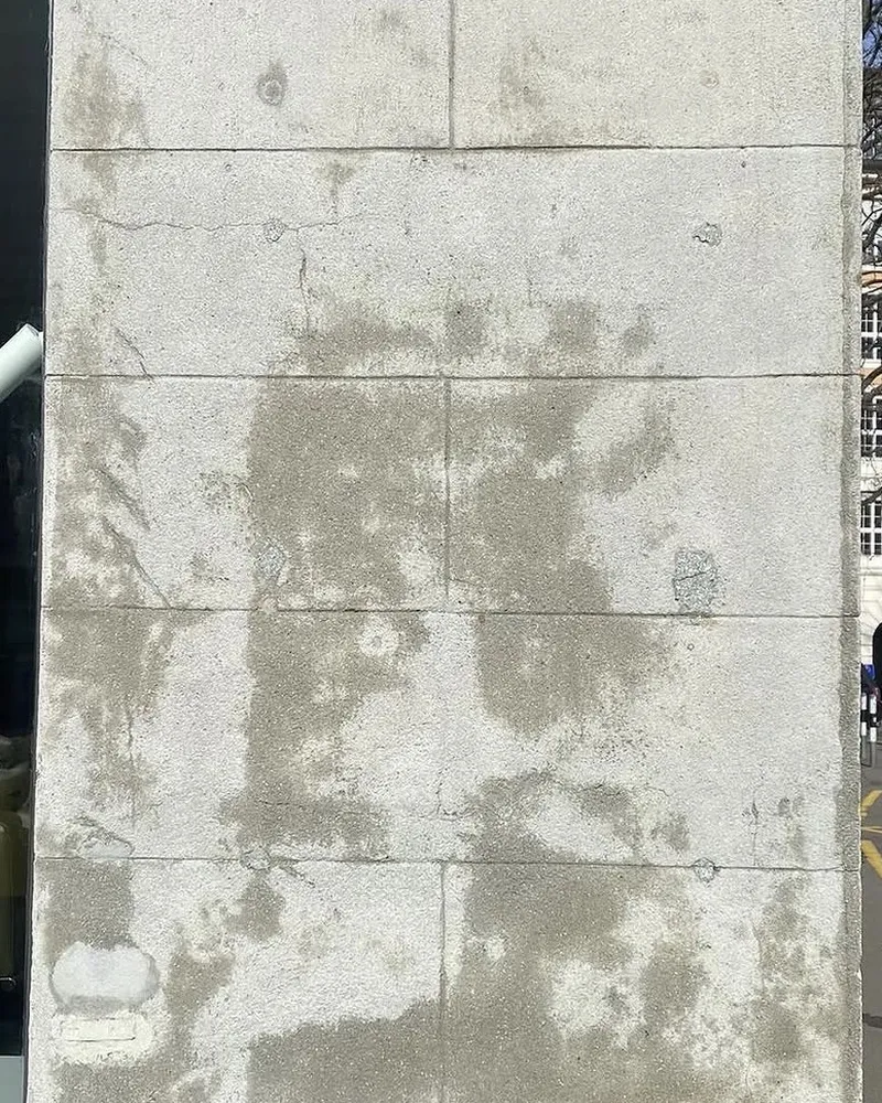 Natursteinpfeiler einer Geschäftsfassade mit flächigem Grünbelag und dunklen Verschmutzungsfahnen vor der Reinigung